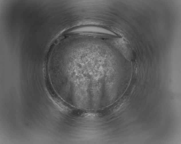 X0000074030352200609061147