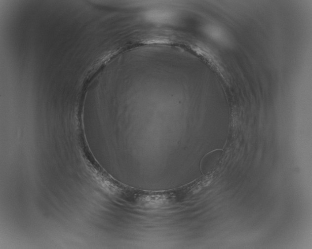 X0000074030353200609061147