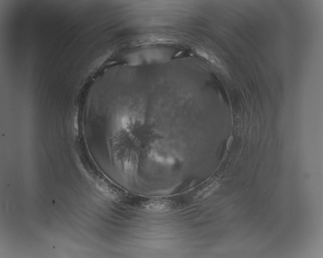 X0000074030358200609061147