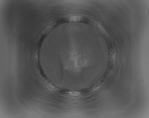 X0000074030363200609061148