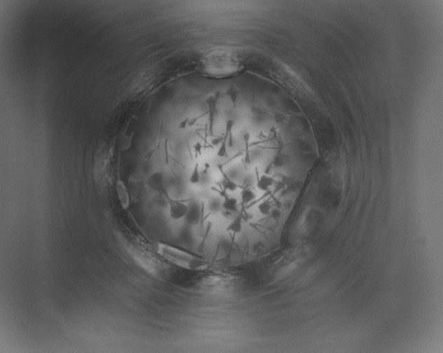 X0000074030364200609061148