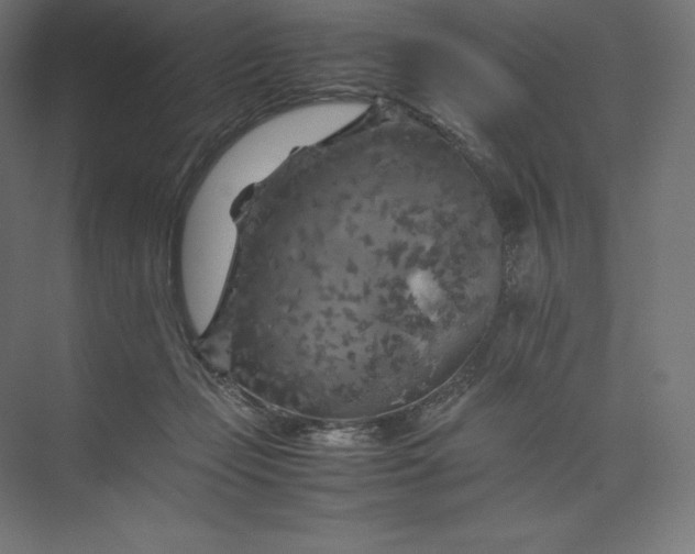 X0000074030365200609061148