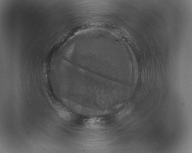 X0000074030366200609061148