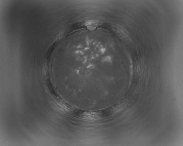 X0000074030367200609061148