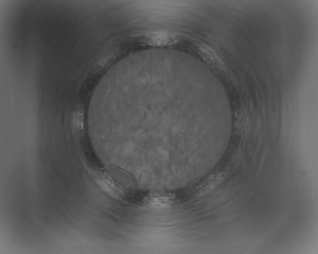 X0000074030368200609061148