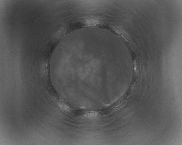 X0000074030369200609061148