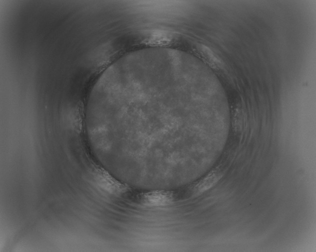 X0000074030370200609061148