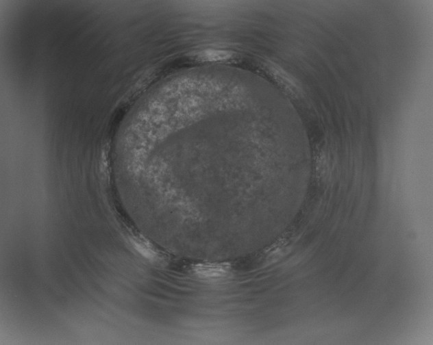 X0000074030373200609061148