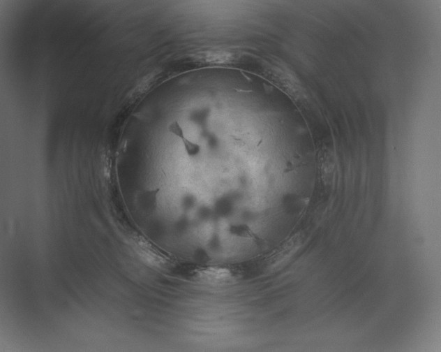 X0000074030374200609061148