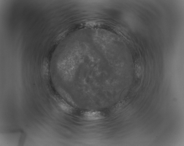 X0000074030375200609061148