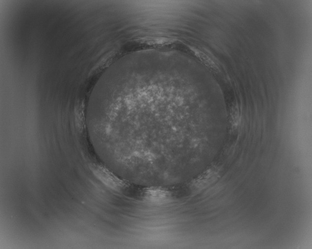 X0000074030376200609061148