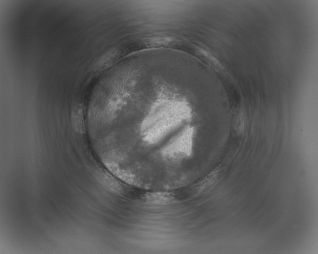 X0000074030378200609061148