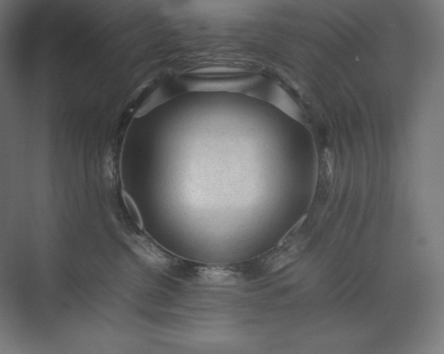 X0000074030380200609061148