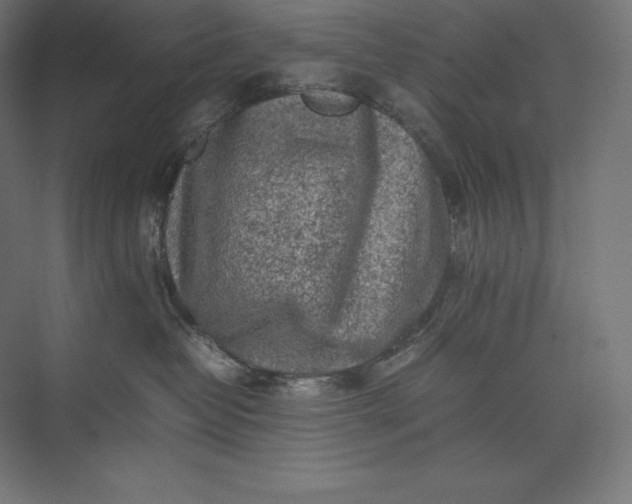 X0000074030382200609061148