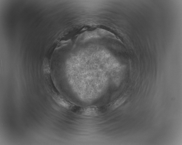 X0000074030384200609061148