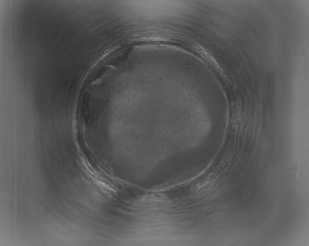 X0000074030386200609061147