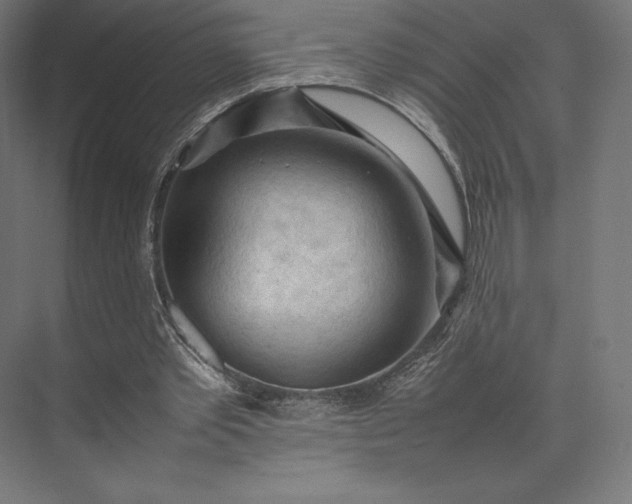 X0000074030389200609061147