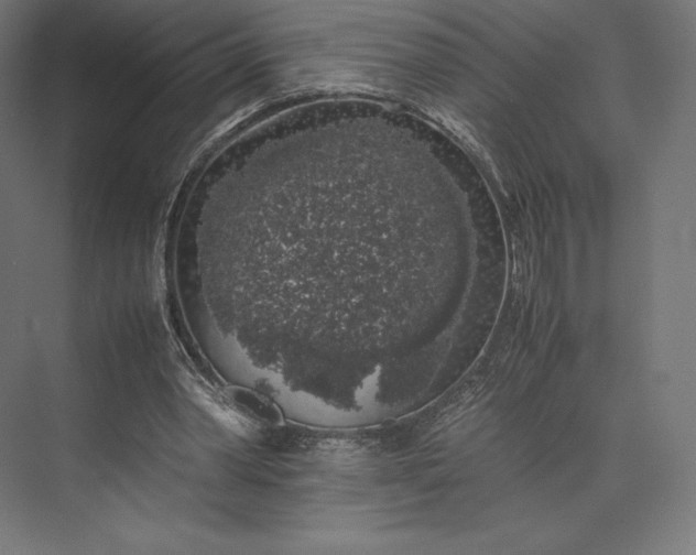 X0000074030390200609061147