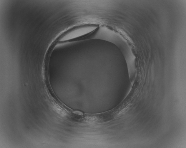 X0000074030391200609061147