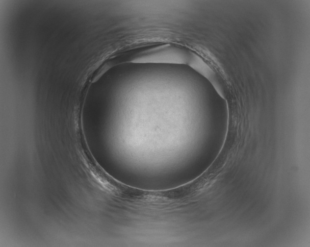 X0000074030393200609061147