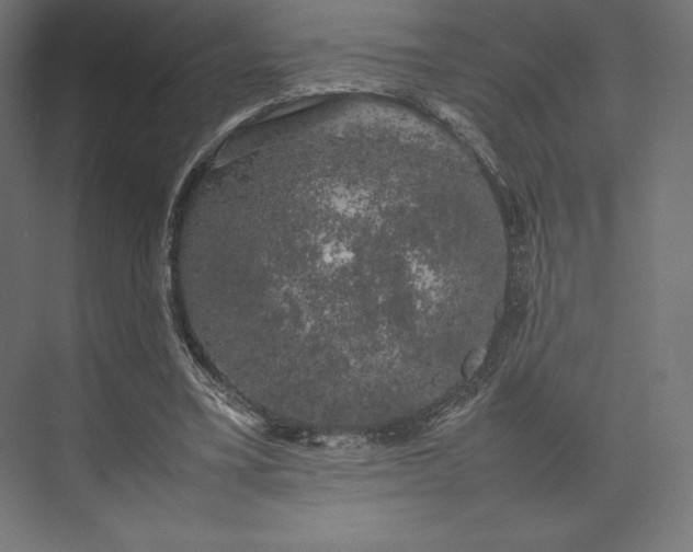 X0000074030395200609061147