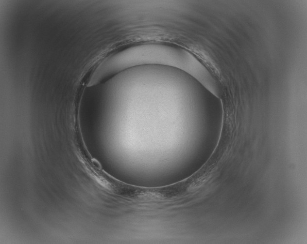 X0000074030397200609061147