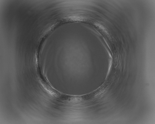 X0000074030398200609061147