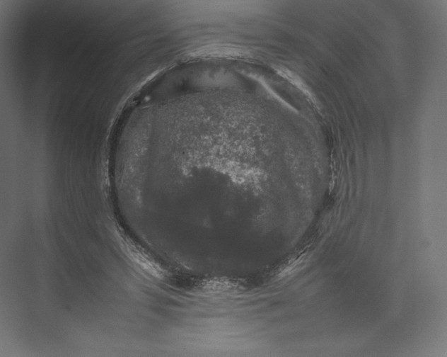 X0000074030399200609061147