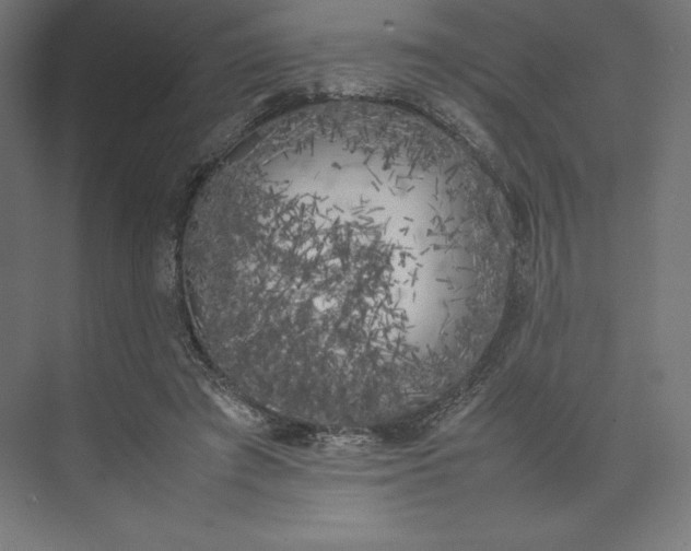 X0000074030401200609061147