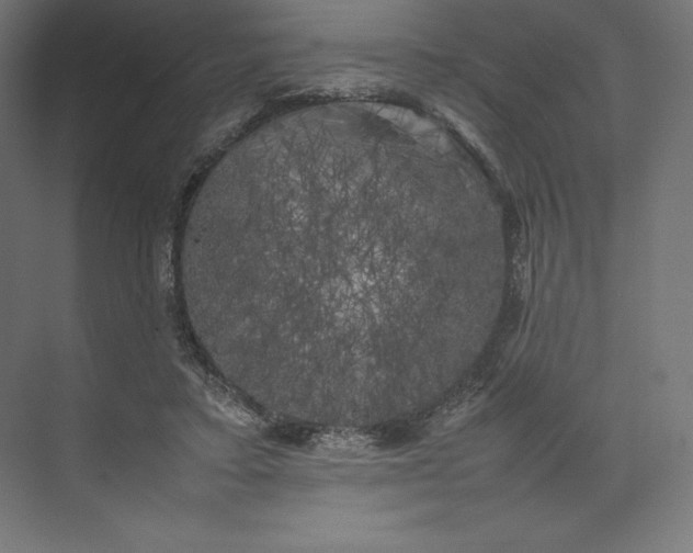 X0000074030403200609061147