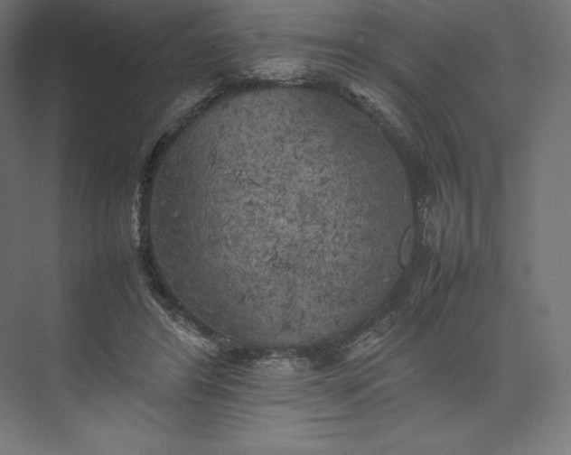 X0000074030404200609061147