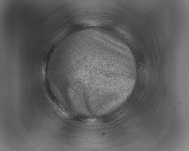 X0000074030406200609061147