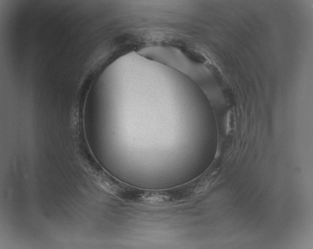 X0000074030407200609061147