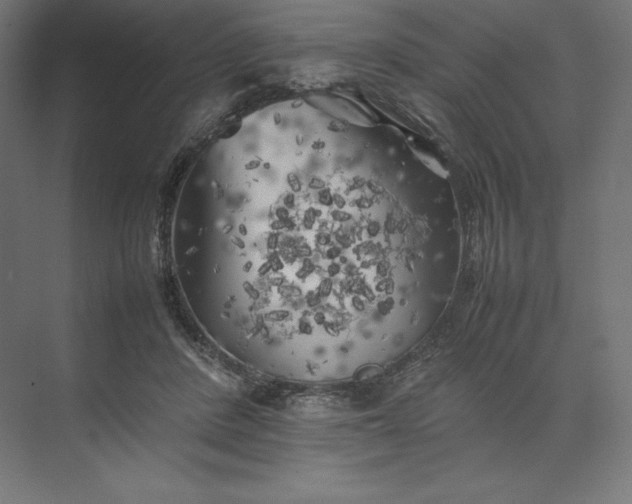 X0000074030408200609061147