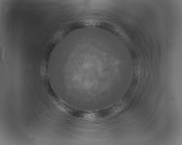 X0000074030411200609061147