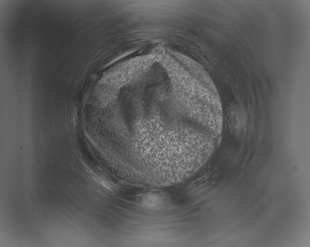 X0000074030412200609061147