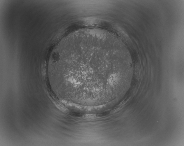 X0000074030413200609061147