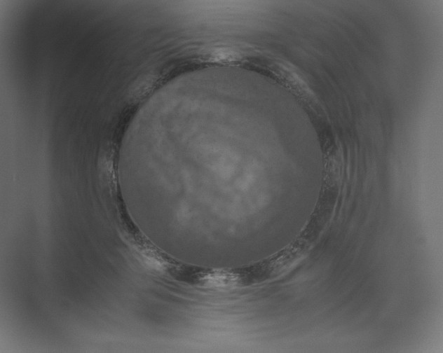 X0000074030415200609061147