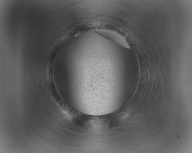 X0000074030416200609061147