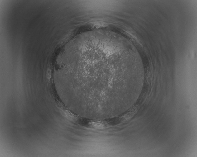 X0000074030417200609061147