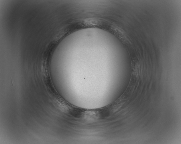 X0000074030418200609061147