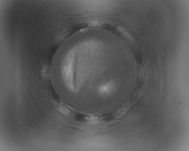 X0000074030419200609061147