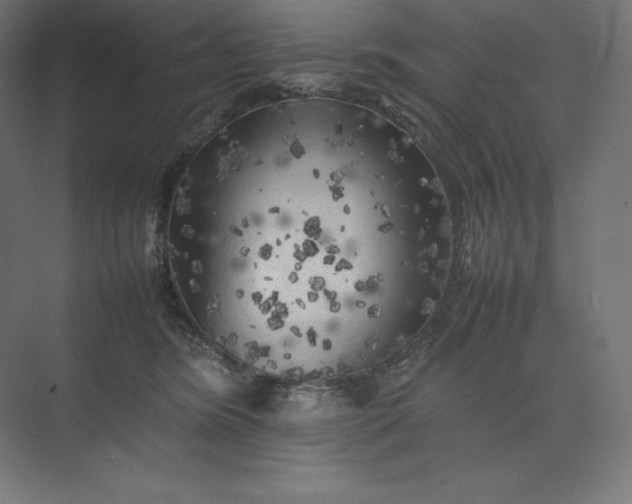 X0000074030420200609061146