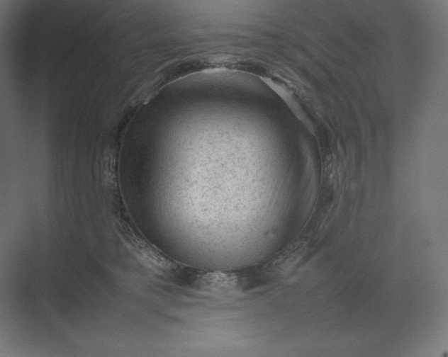 X0000074030421200609061146