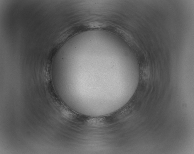 X0000074030422200609061146