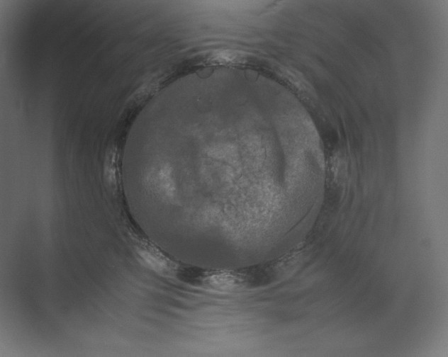 X0000074030423200609061146