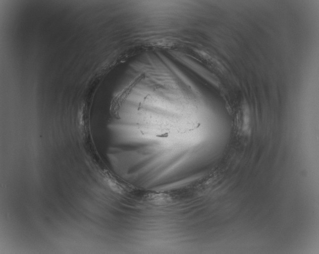 X0000074030424200609061146