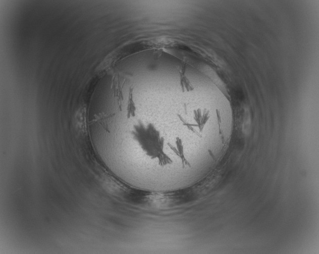 X0000074030425200609061146