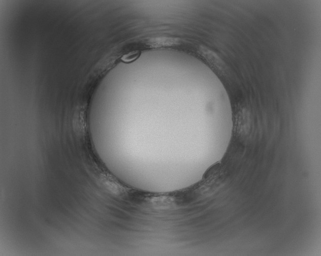 X0000074030426200609061146