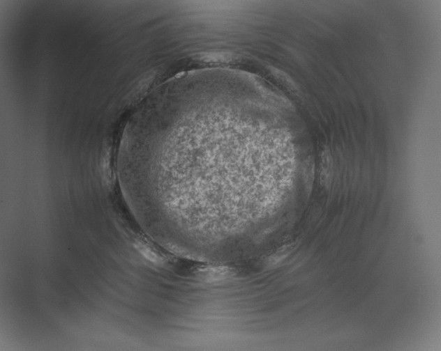 X0000074030428200609061146